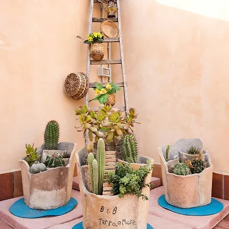 Terra&mare Nocleg ze śniadaniem