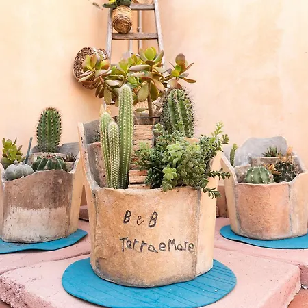 Nocleg ze śniadaniem Terra&mare Syrakuzy